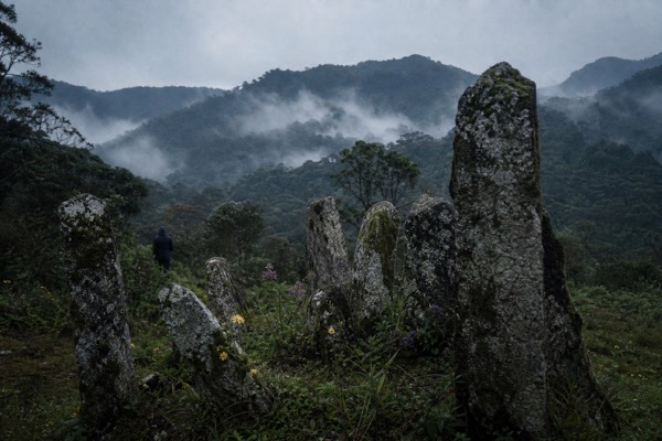 Gorilla Trek + Dian Fossey or Gorilla Guardians
