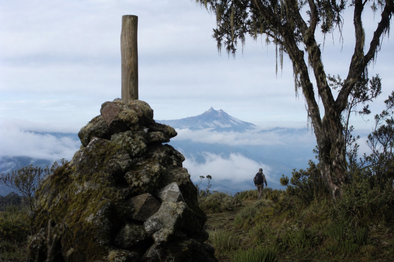 A mossy stone cairn and weathered wooden marker in a high forest clearing at around 3,000 metres, cloud pressing low between hagenia trees, soft grey light