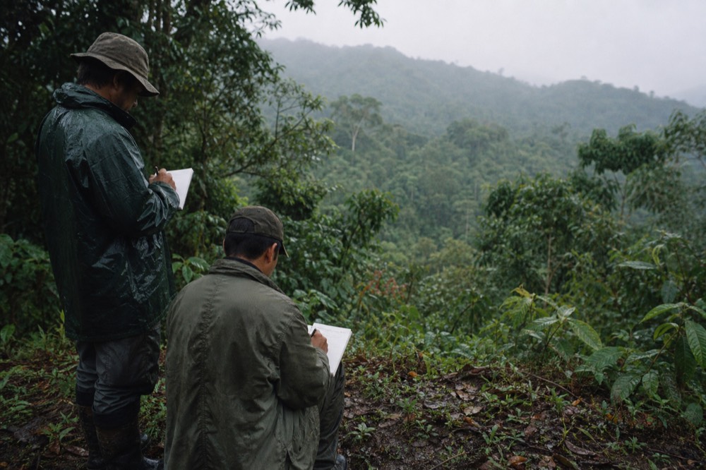 Two trackers in worn field jackets writing in notebooks at the edge of a forest clearing, steep green hills falling away behind them in morning haze