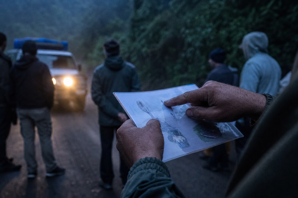 A ranger's weathered hand pointing to a laminated rules card at a forest edge briefing, blurred green wall of vegetation behind, early morning light