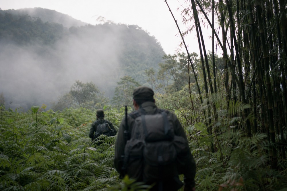 Trackers in dark green fatigues moving through waist-high vegetation at the forest edge, morning mist burning off the slope above them