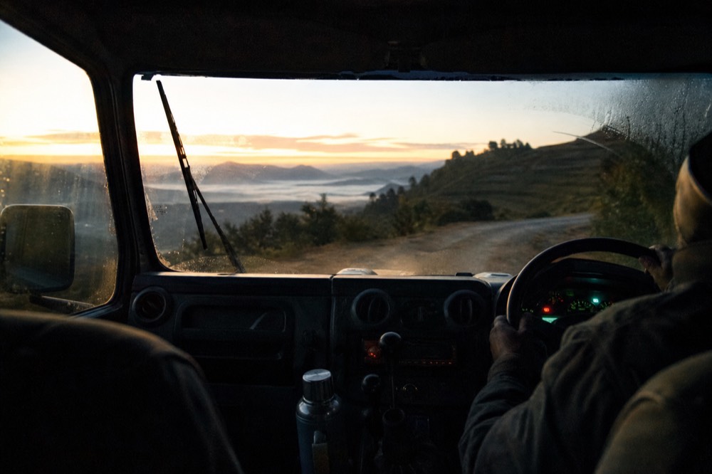 Interior of a safari vehicle before dawn, dashboard glow on a driver's hands at the wheel, thermos wedged beside the gearstick, condensation on the windscreen