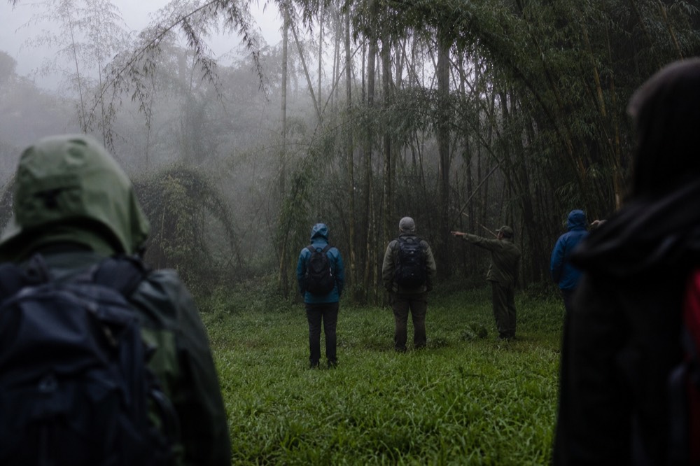 Group of trekkers in fleeces and rain shells standing in a damp grassy clearing at dawn while a uniformed ranger gestures toward the forest edge, no faces visible