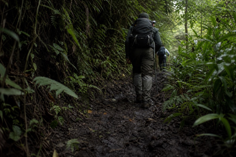 Muddy hiking boots and gaiters on a wet volcanic trail, churned black soil, ferns crowding both edges of the path