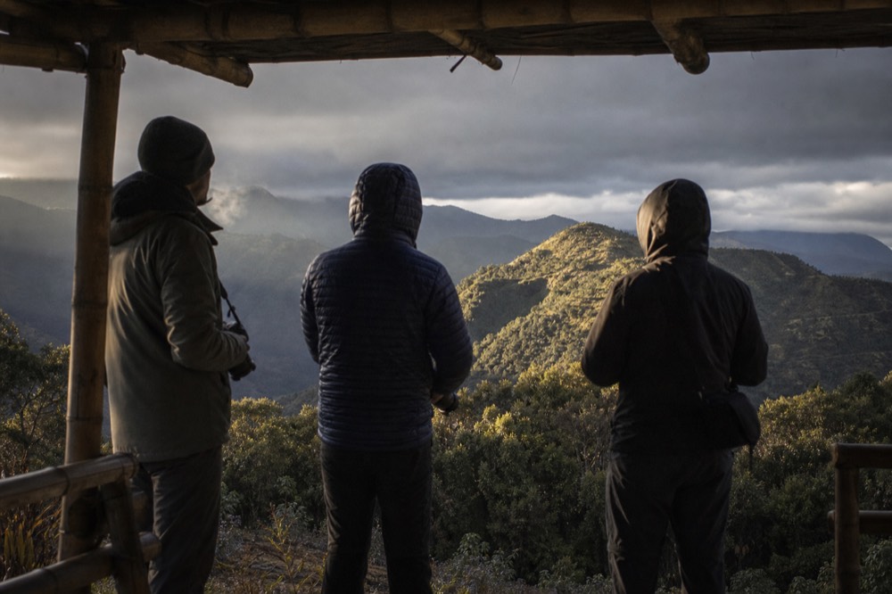 A small group of trekkers standing quietly under a bamboo canopy with cameras lowered, breath visible in the cool morning air