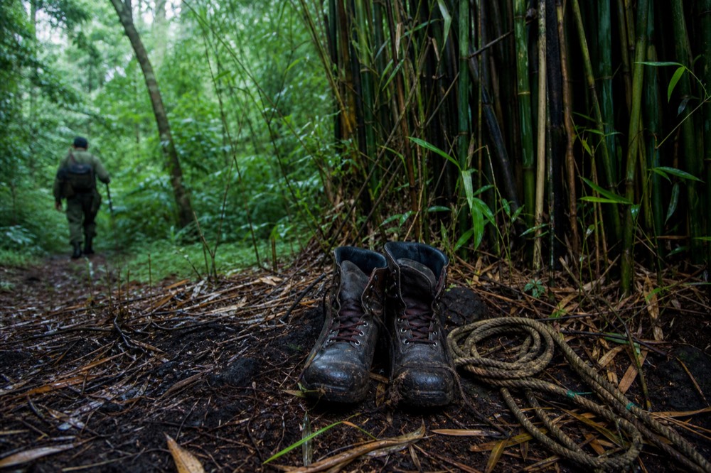 A ranger's worn leather boots and a coiled length of rope resting on wet volcanic soil at the edge of a dense bamboo stand, dappled forest light