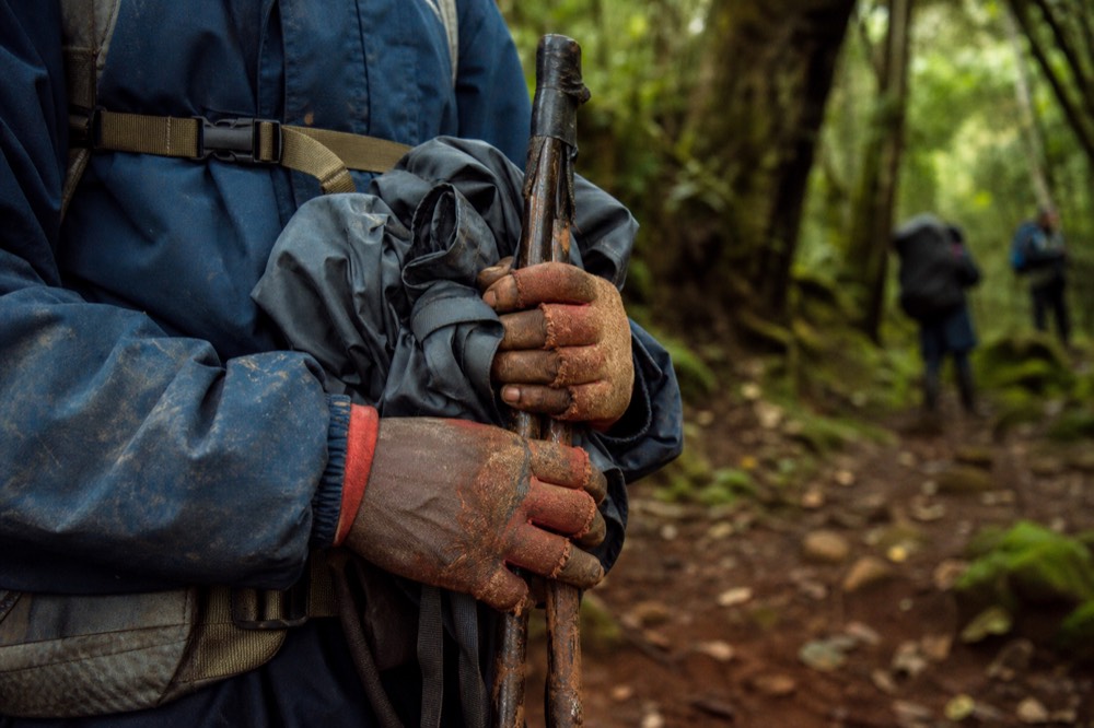 A porter's weathered hands gripping a bundled walking stick and a rolled rain shell, red mud drying on worn gloves, blurred forest floor behind