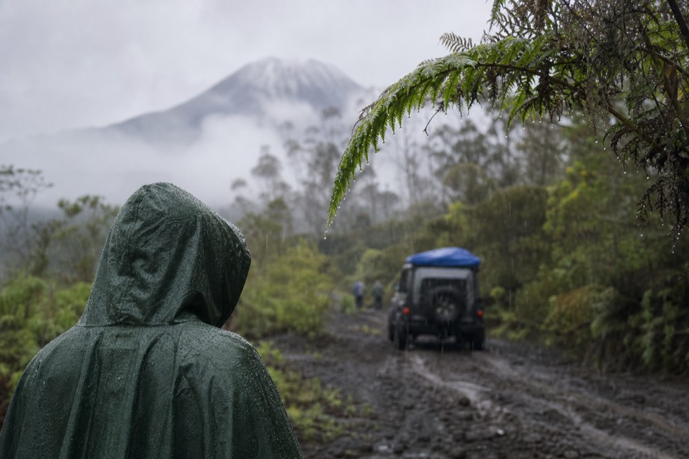 Heavy rain falling on a forest clearing, water beading on a green poncho hood and dripping from a bent fern frond, everything soft and grey behind