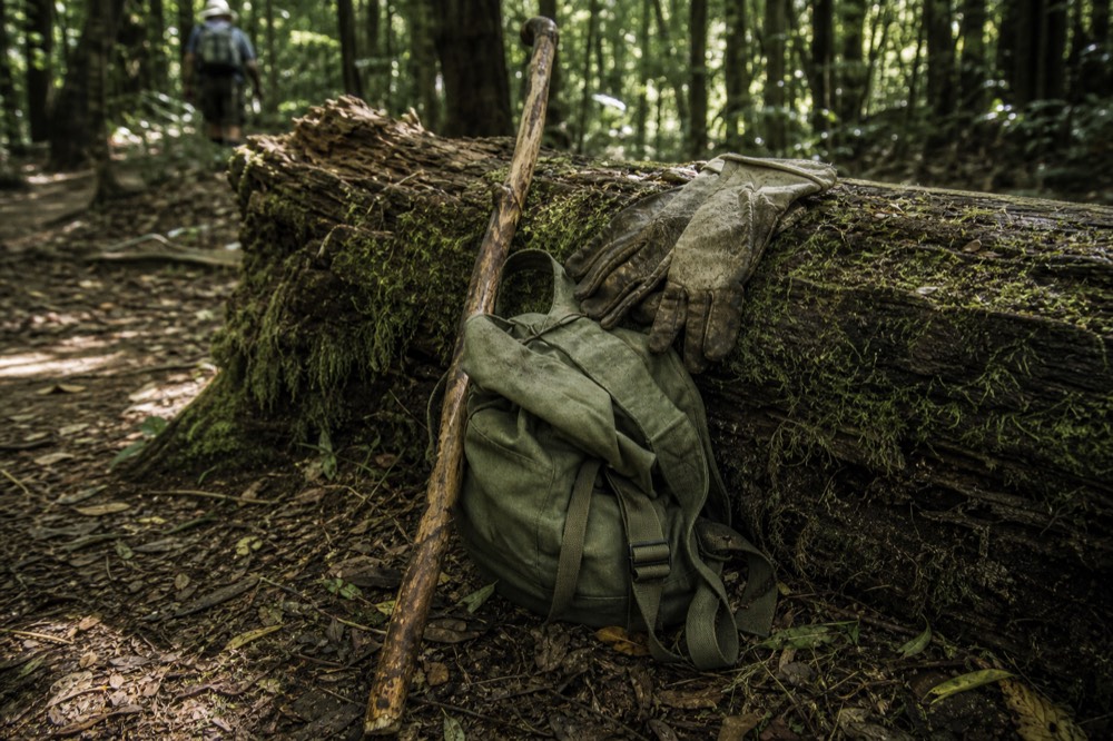 Still life of a worn wooden walking stick, muddy canvas gloves and a small green daypack propped against a moss-covered log in dappled forest light